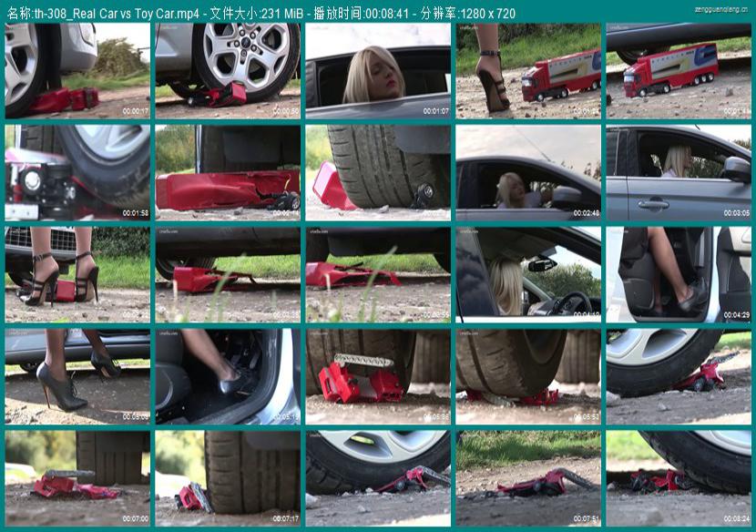 th-308_Real Car vs Toy Car